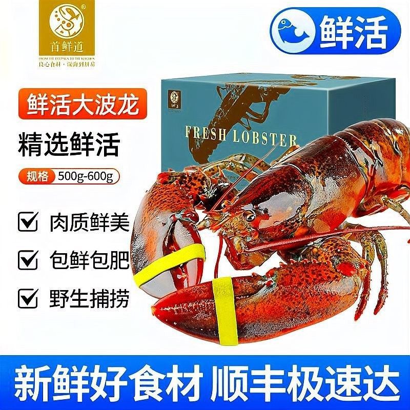 紅龍和澳龍哪個(gè)更適合刺身