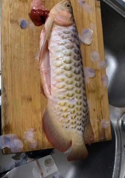 金龍魚煮多久能熟 龍魚百科 第6張 金龍魚煮多久能熟 金龍魚煮多久能熟 龍魚百科 第6張