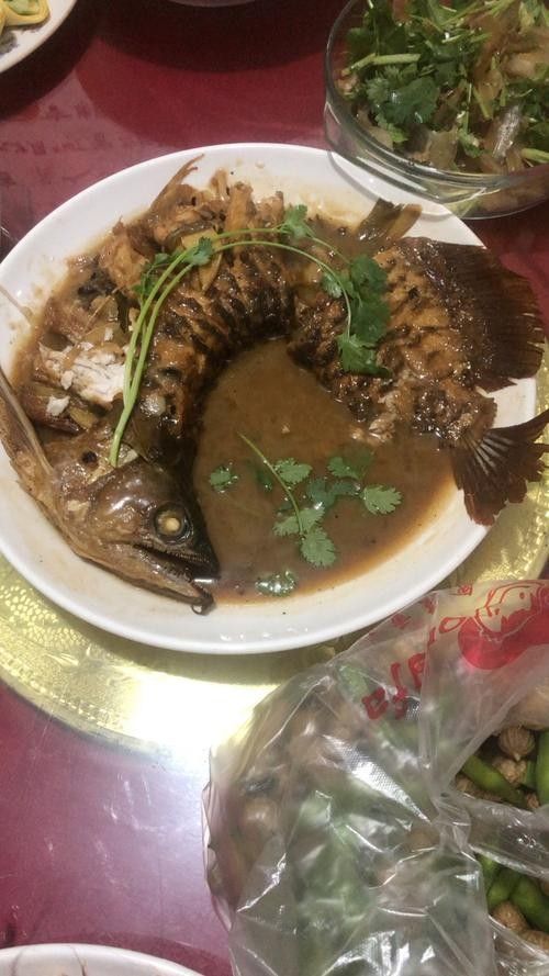 金龍魚煮多久能熟 龍魚百科 第5張 金龍魚煮多久能熟 金龍魚煮多久能熟 龍魚百科 第5張