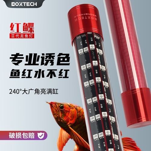 龍魚專用燈管哪個品牌好（選擇龍魚專用燈管需要考慮哪些問題）