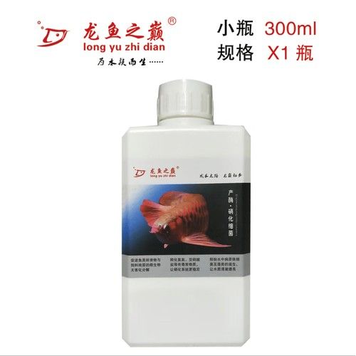 龍魚之巔有哪些品牌推薦？（魚之巔品牌推薦）