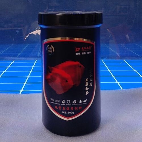 龍魚之巔有哪些品牌推薦？（魚之巔品牌推薦）