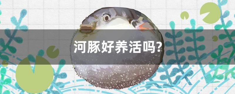 混養(yǎng)和諧