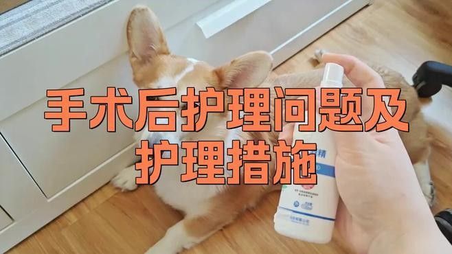 術后護理費用大概是多少？