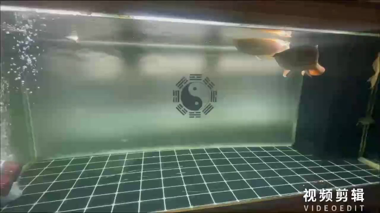 每天打卡（每天打卡的意義）