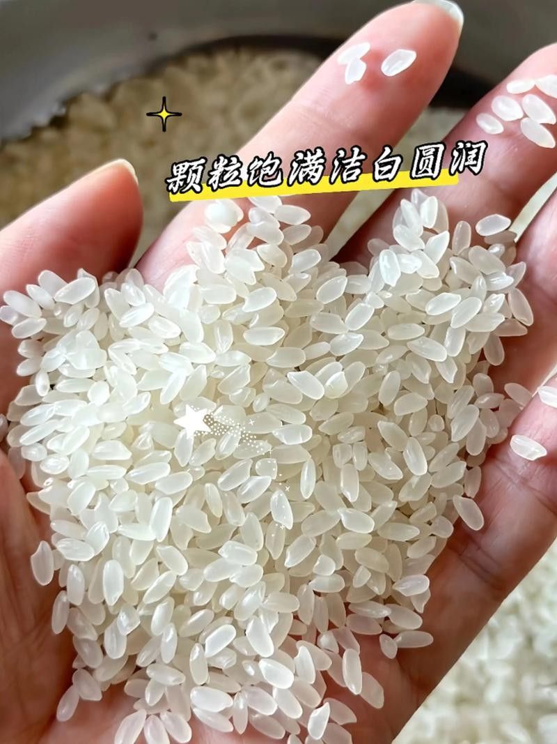 金龍魚盤錦米的價格波動大嗎