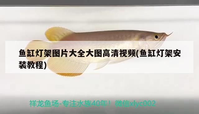 魚缸燈架圖片大全大圖高清視頻(魚缸燈架安裝教程)