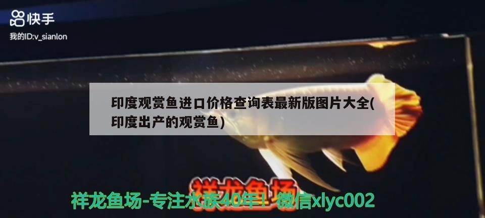 印度觀賞魚進口價格查詢表最新版圖片大全(印度出產的觀賞魚)