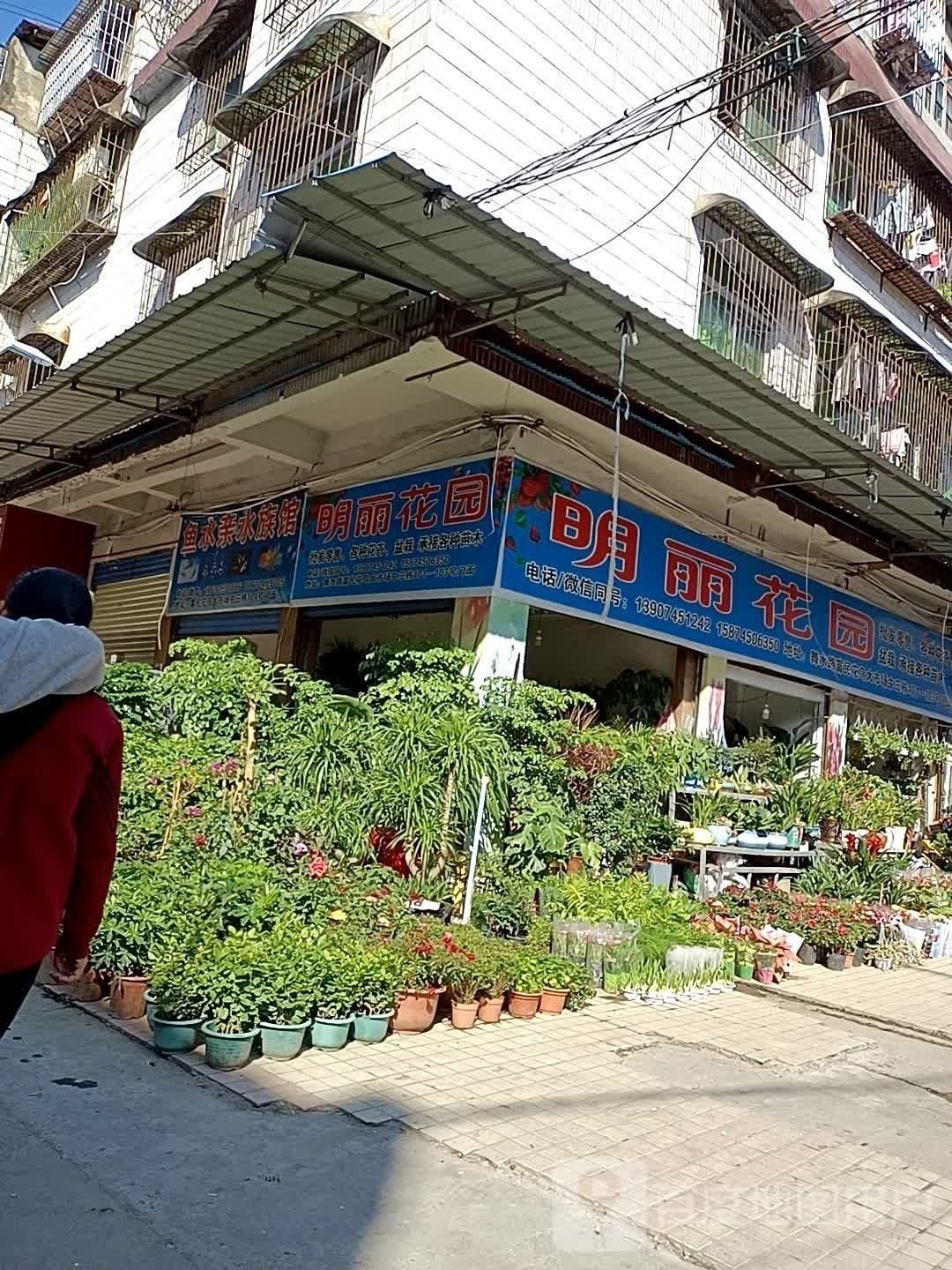 辰溪哪個水族館龍魚好？祥龍魚場龍魚（“祥龍魚場”以其優(yōu)質(zhì)的龍魚品種和專業(yè)的養(yǎng)殖技術(shù)和專業(yè)的養(yǎng)殖技術(shù)）