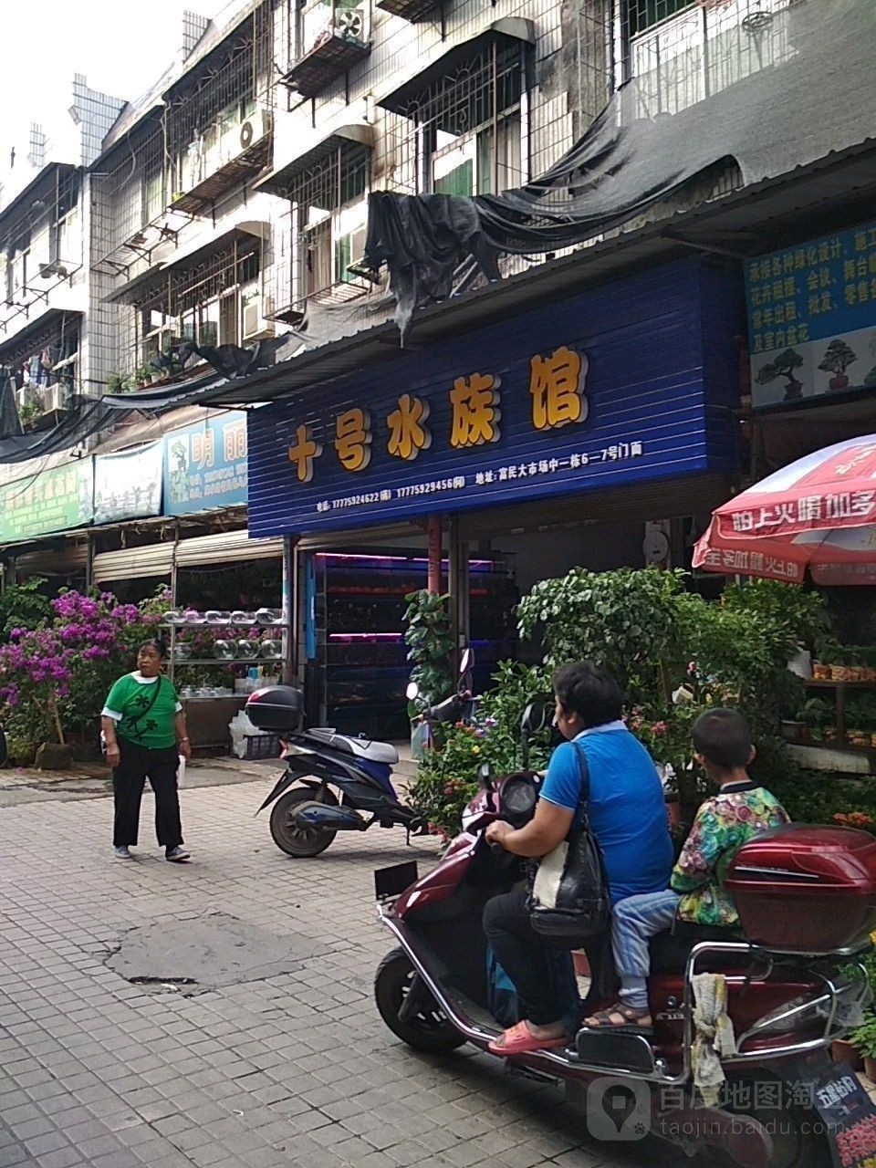 辰溪哪個水族館龍魚好？祥龍魚場龍魚（“祥龍魚場”以其優(yōu)質(zhì)的龍魚品種和專業(yè)的養(yǎng)殖技術(shù)和專業(yè)的養(yǎng)殖技術(shù)）