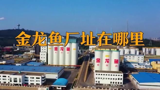金龍魚調和油哪個生產基地最大（金龍魚總廠址在哪里）