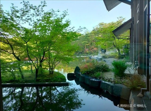 大名哪個水族館龍魚好？祥龍魚場龍魚