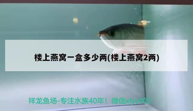 樓上燕窩一盒多少兩(樓上燕窩2兩)