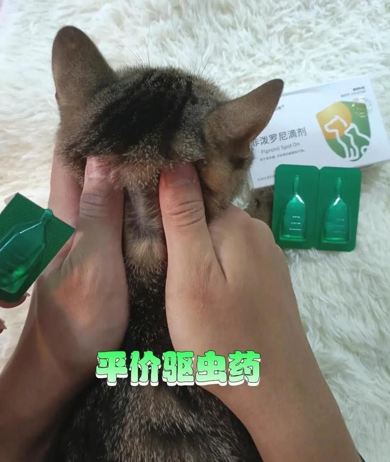 吡喹酮在哪里可以購(gòu)買到？
