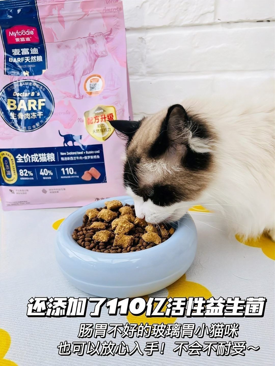吡喹酮在哪里可以購(gòu)買到？