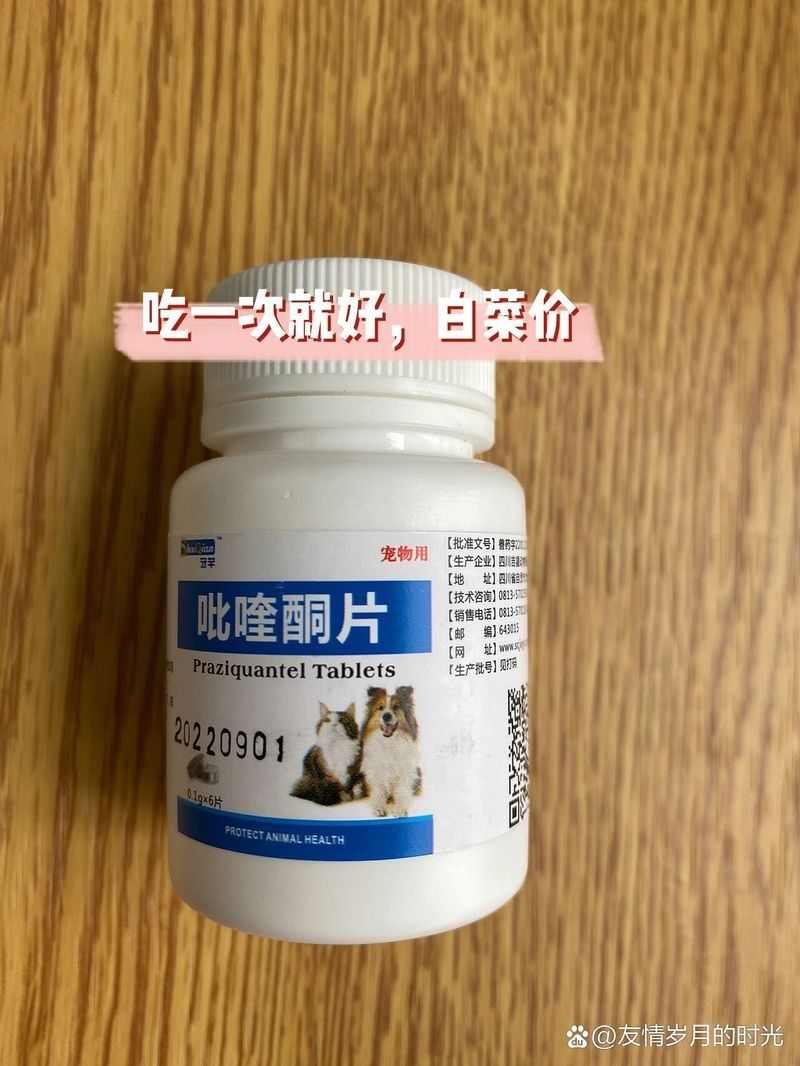 吡喹酮在哪里可以購(gòu)買到？