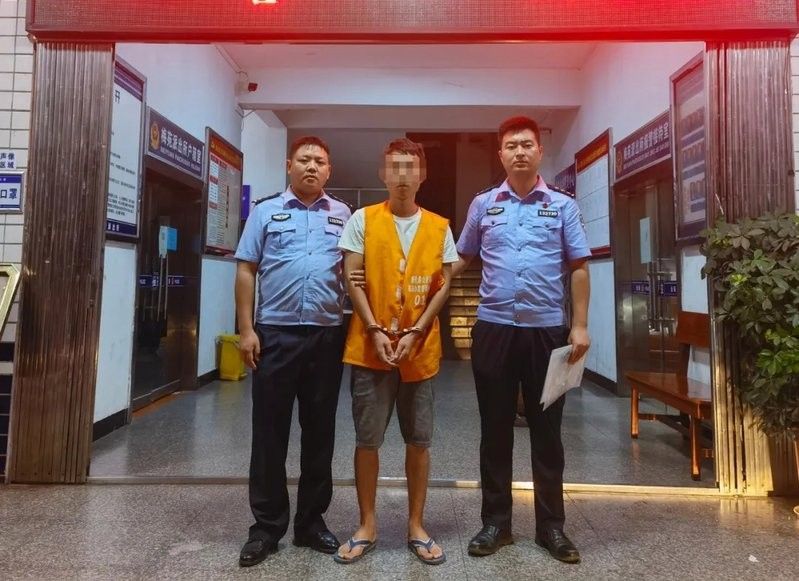 如何合法獲取巴卡雷龍？ 如何合法獲取巴卡雷龍？ 龍魚百科 第2張