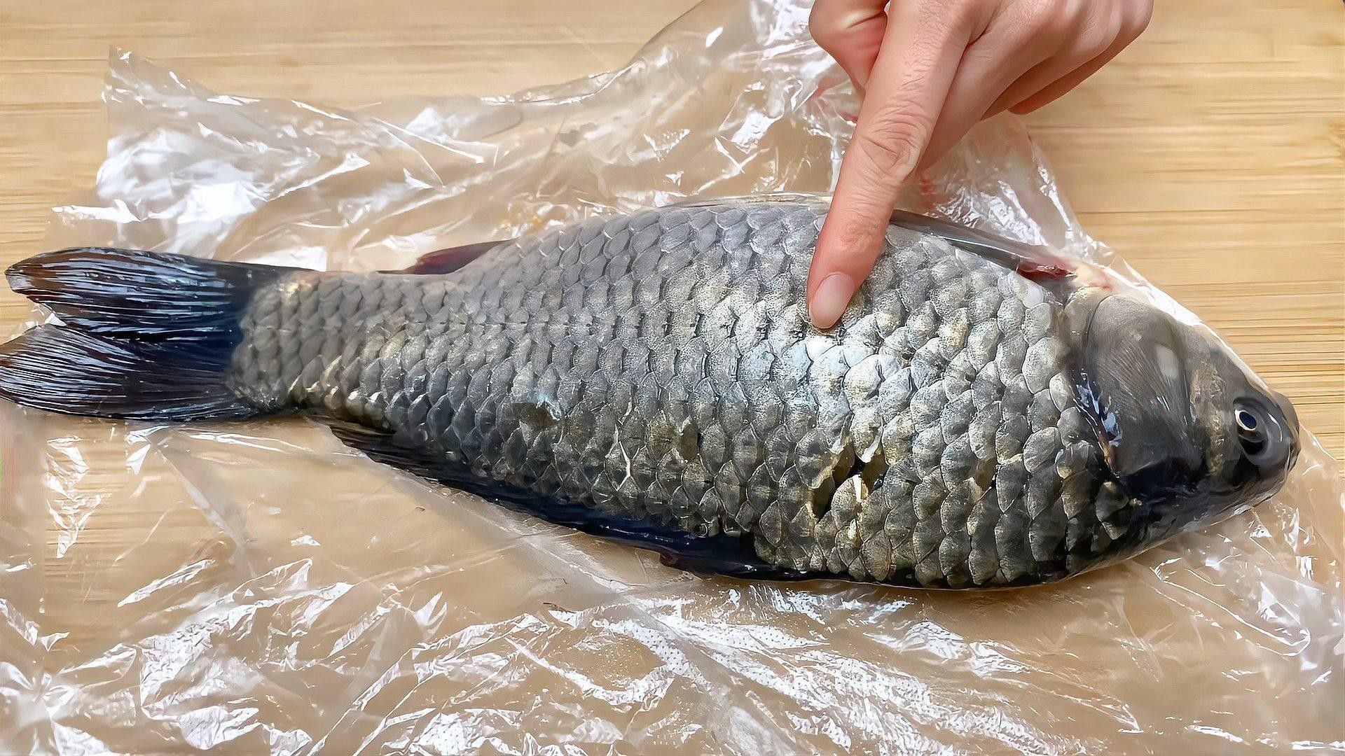 如何保養小龍魚的鱗片（如何保養小龍魚鱗片）