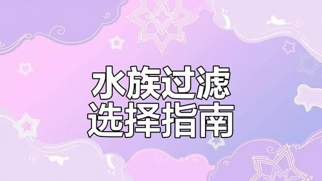 如何選擇適合龍魚的過濾器？