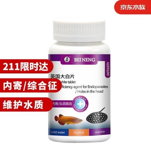 龍魚專用魚藥的價格范圍（龍魚專用魚藥價格范圍）