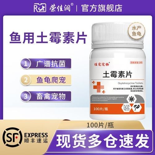 龍魚專用魚藥的價格范圍（龍魚專用魚藥價格范圍）