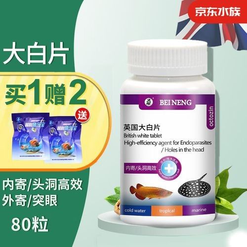 龍魚專用魚藥的價格范圍（龍魚專用魚藥價格范圍）