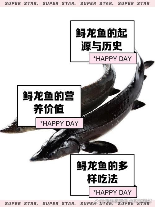 如何挑選新鮮的鱘龍魚？