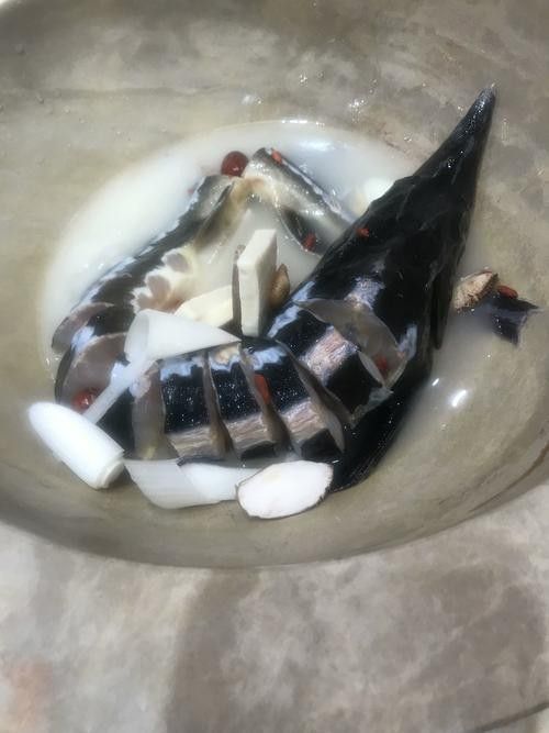 如何挑選新鮮的鱘龍魚？
