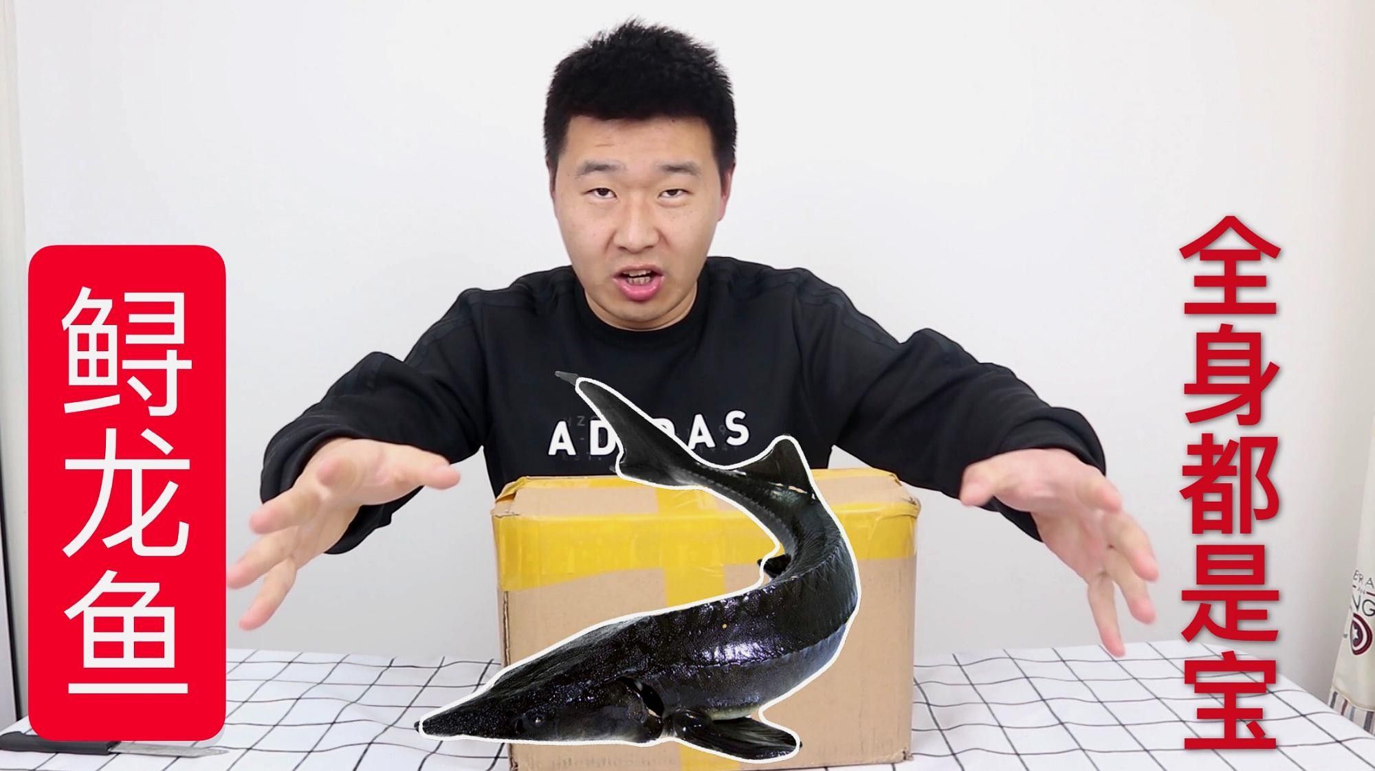 如何挑選新鮮的鱘龍魚？