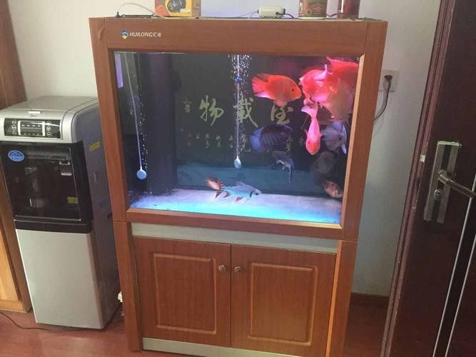 匯龍魚缸有哪些顏色可選