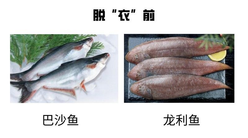 巴沙魚片和龍魚片哪個更營養(yǎng)（巴沙魚和龍利魚哪個營養(yǎng)價值更高？）