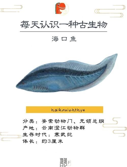 海口龍魚批發市場有哪些品種（海口龍魚批發市場哪個平臺最好海口龍魚批發市場價格）