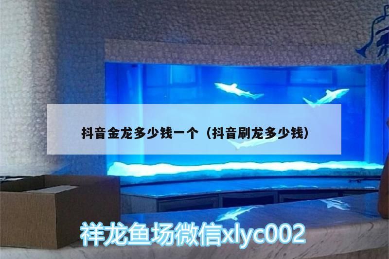 抖音金龍多少錢一個(gè)（抖音刷龍多少錢）（抖音金龍多少錢一個(gè)）