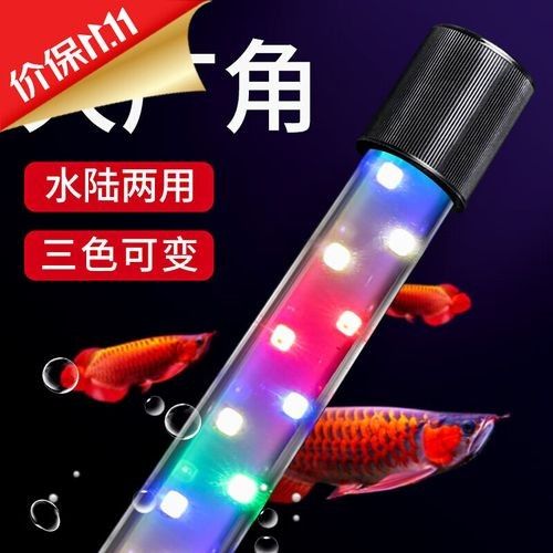 哪種品牌的龍魚燈比較好（馬印馬印馬印馬印馬印馬印馬印馬印神燈龍魚燈led燈）