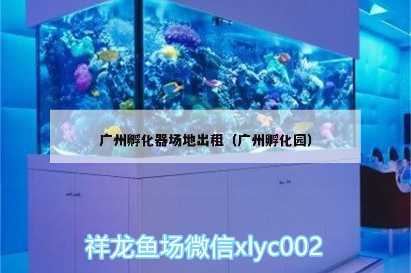 廣州孵化器場地出租（廣州孵化園）（廣州孵化器場地出租）