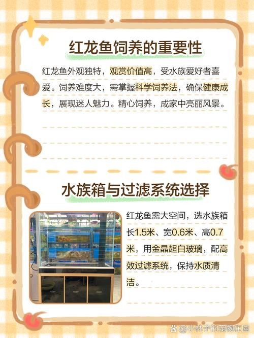 給我推薦一些信譽良好的紅龍魚養殖基地