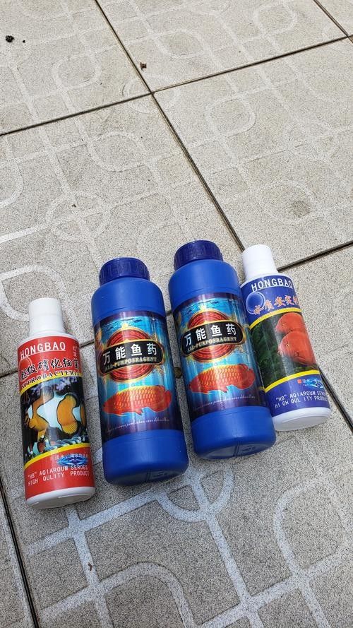如何聯(lián)系龍魚專用藥水廠家？（“龍魚專用藥水廠家聯(lián)系方式”獲取龍魚專用藥水廠家聯(lián)系方式）