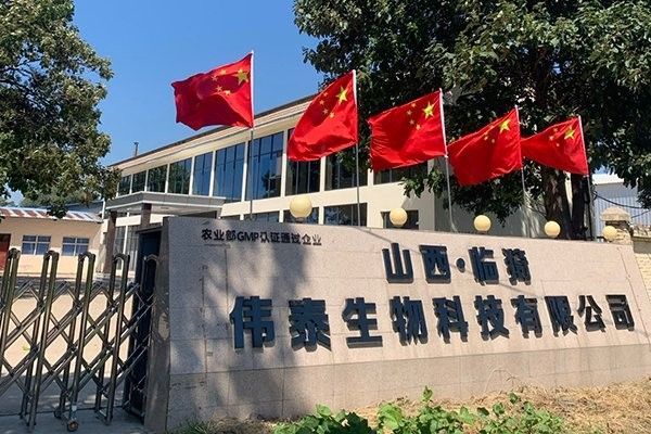 如何聯(lián)系龍魚專用藥水廠家？（“龍魚專用藥水廠家聯(lián)系方式”獲取龍魚專用藥水廠家聯(lián)系方式）