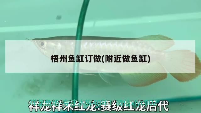 <strong><mark>梧州</mark></strong>魚缸訂做(附近做魚缸)（<strong><mark>梧州</mark></strong>魚缸訂做）