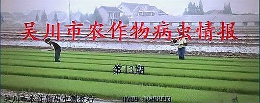 面包蟲多久蛻一次殼（面包蟲養(yǎng)殖技術(shù)詳解）