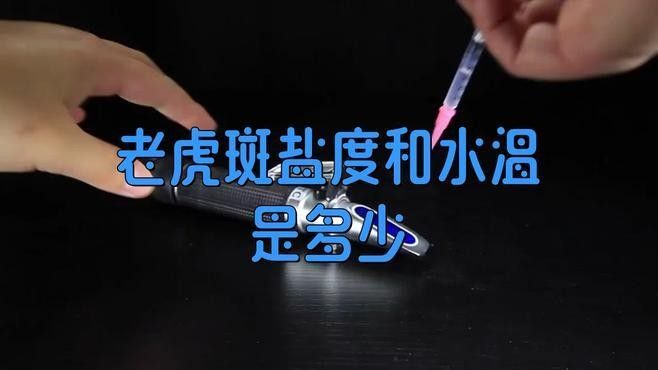 虎斑恐龍魚繁殖溫度多少合適（虎斑恐龍魚的最佳繁殖水溫是多少？）