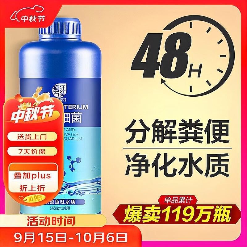 如何搭配金龍魚缸的燈光和背景（龍魚缸燈光和背景搭配是提升觀賞體驗的關鍵因素至關重要）
