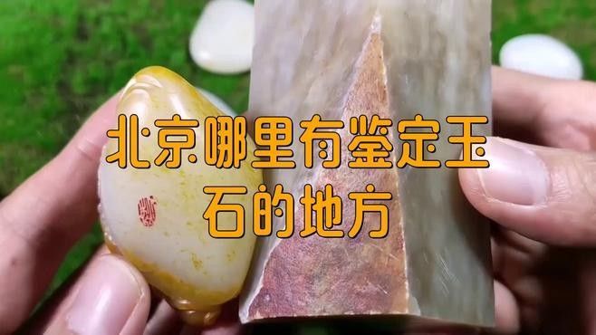 如何鑒別真假玉雕龍魚（如何辨別真假玉雕龍魚）