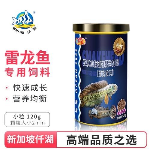 哪些飼料適合雷龍魚
