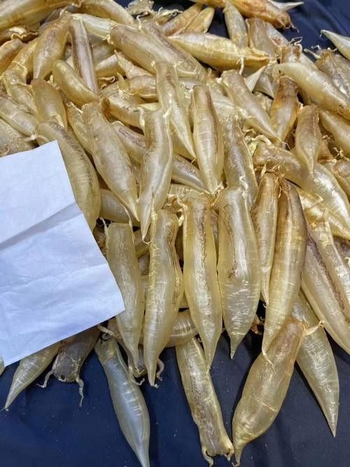 金龍魚工裝的面料是什么(金龍魚工裝的面料如何保養?) 龍魚百科 第4張 金龍魚工裝的面料是什么(金龍魚工裝的面料如何保養?) 金龍魚工裝的面料是什么(金龍魚工裝的面料如何保養?) 龍魚百科 第4張