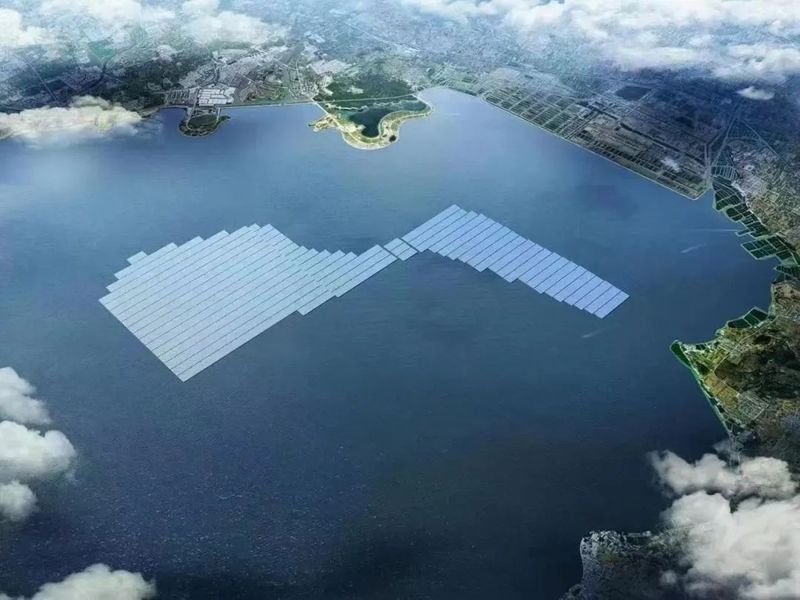 如何聯系青島的水族貿易公司？（青島水族貿易公司聯系方式）