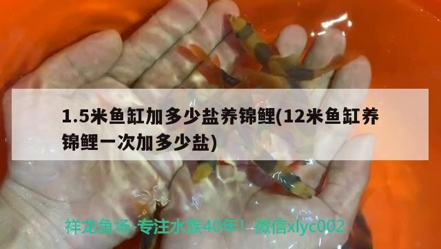 1.5米魚缸加多少鹽養錦鯉(12米魚缸養錦鯉一次加多少鹽)（1.5米魚缸加多少鹽養錦鯉）