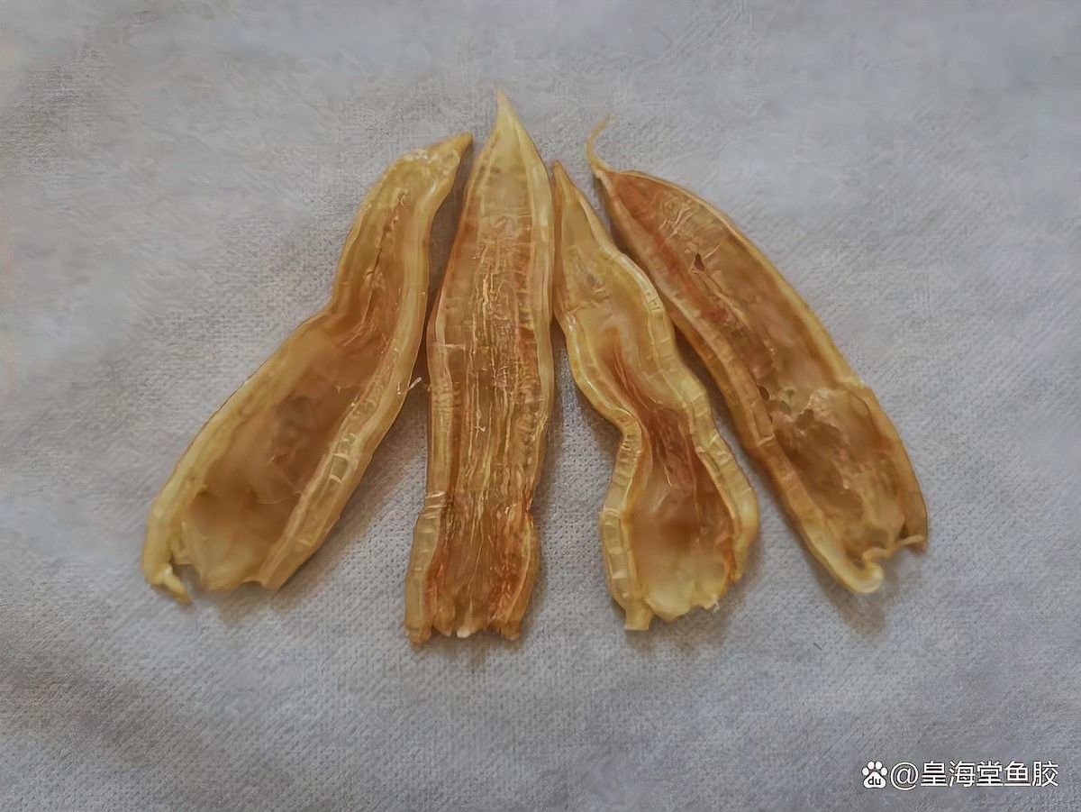 金龍魚膠和北海魚膠的價格差異大嗎？（金龍魚膠和北海魚膠價格是多少一斤看完這幾點你就明白）