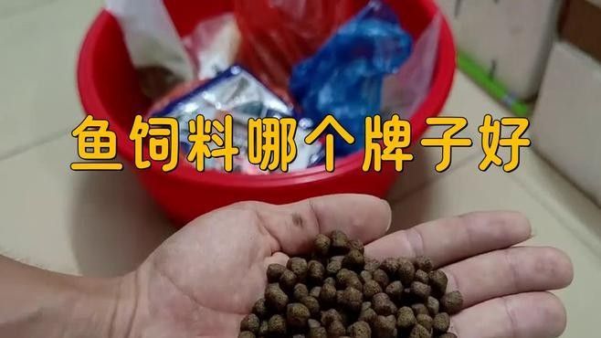 哪種增色飼料品牌最好？（京東增色魚(yú)食飼料品牌排行榜京東增色飼料品牌排行榜）