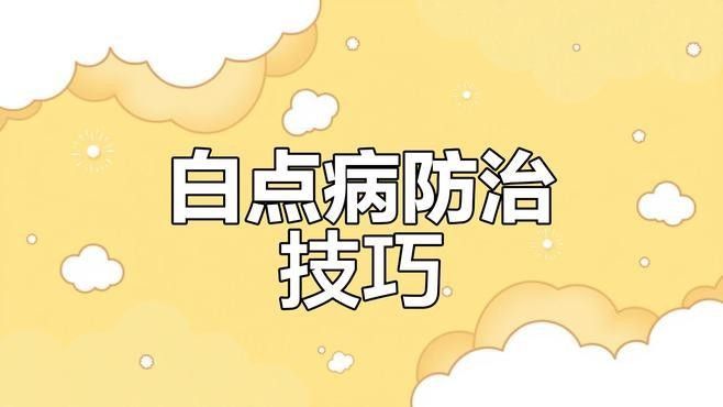 給我一些孔雀龍魚飼養技巧（如何飼養孔雀龍魚的技巧）